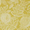 Cantaloupe 216762